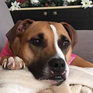 Meet your Posher, Maria